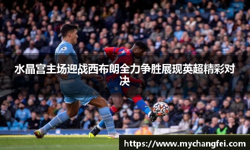 水晶宫主场迎战西布朗全力争胜展现英超精彩对决